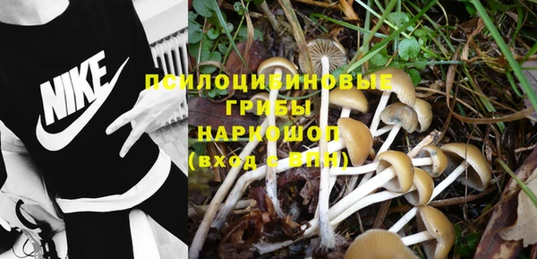герыч Алексин