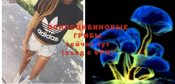 бошки Алексеевка
