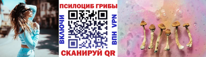 дарнет шоп Новоалтайск Псилоцибиновые грибы мухоморы